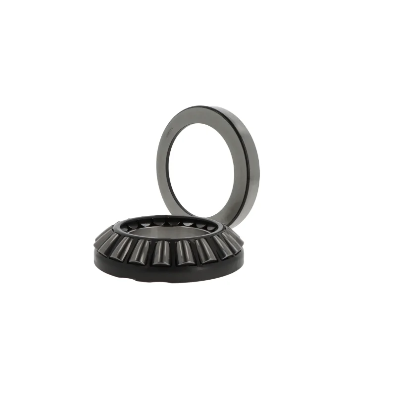 rotall-kugellagershop202605090142222996271