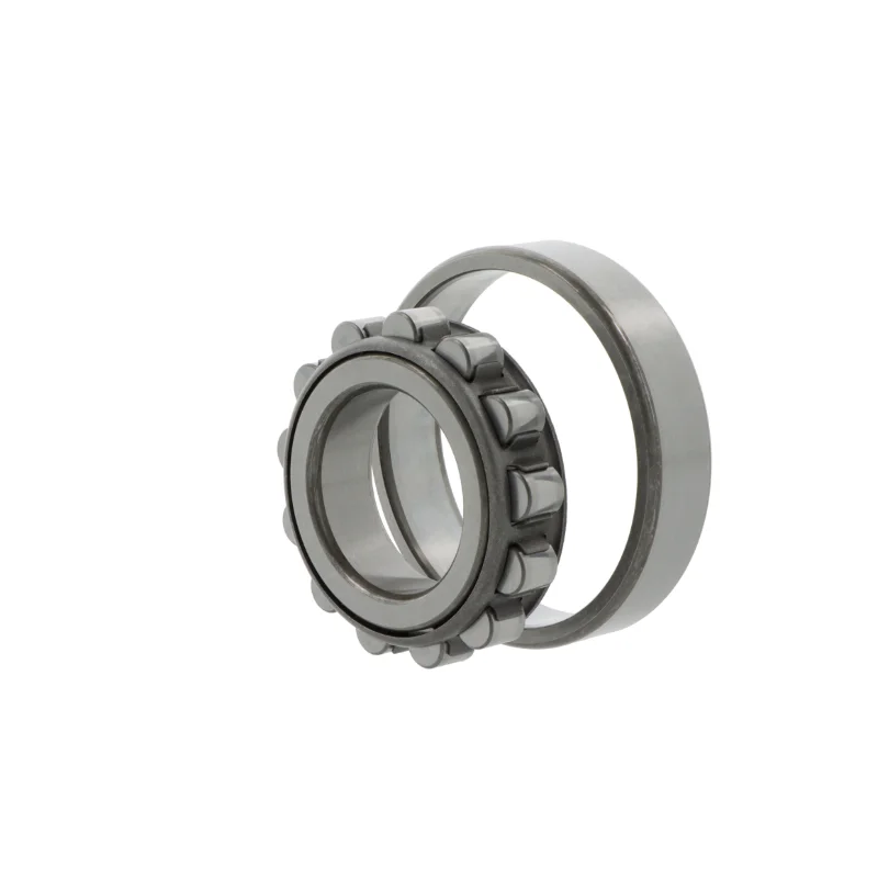 rotall-kugellagershop202605090238433005264